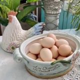 Âu sứ có nắp hình gà mái