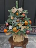 Cây thông Noel nhập khẩu Đan Mạch