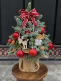 Cây thông Noel nhập khẩu Đan Mạch