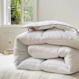 Ruột chăn lông vũ Italy Gabel