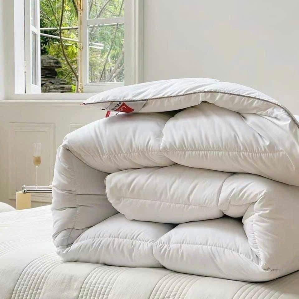 Ruột chăn lông vũ Italy Gabel