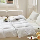 Ruột chăn lông vũ Italy Gabel