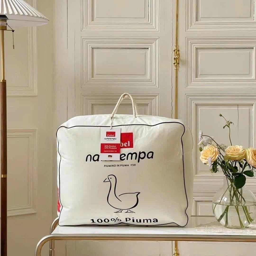 Ruột chăn lông vũ Italy Gabel