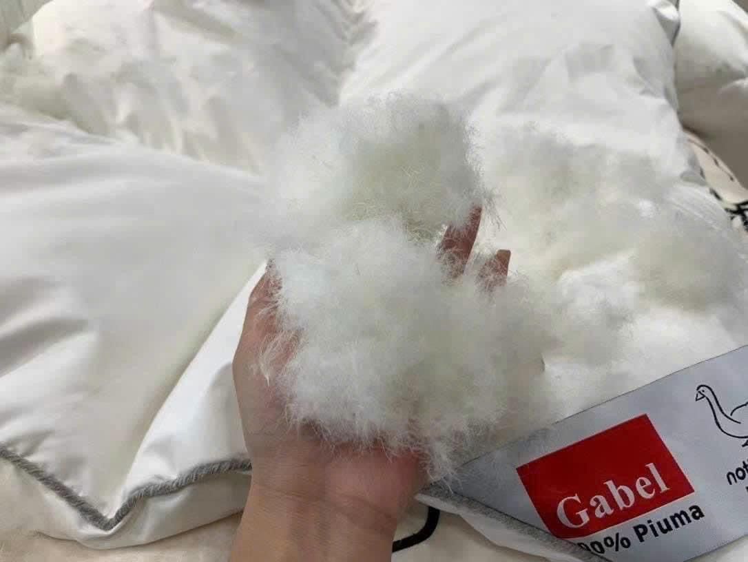 Ruột chăn lông vũ Italy Gabel