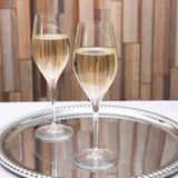 Bộ 12 ly vang cao cấp Spiegelau 4400192 Authentis Gläser-Set
