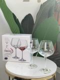 Bộ 2 món ly vang Bohemia Turbulence 570 ml