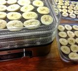 Máy sấy khô thực phẩm Wmf