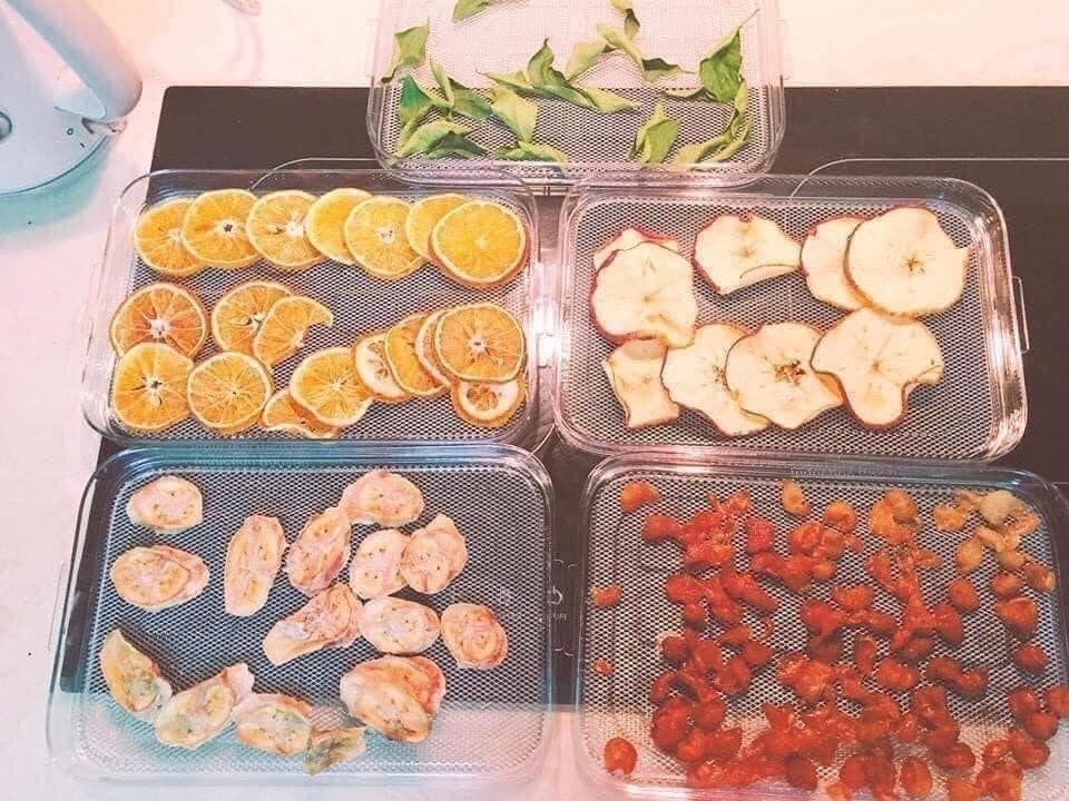 Máy sấy khô thực phẩm Wmf