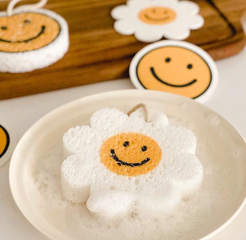 Bộ 6 mút bọt biển rửa bát Flower Smile From Korea