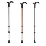 Gậy đi bộ Rebotec Simplex - Made in Germany