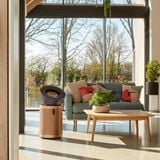 Máy lọc không khí Dyson Purifier Big and Quiet Formaldehyde