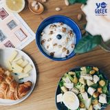 Máy làm sữa chua Hy Lạp và các loại pho mát mềm Lakeland