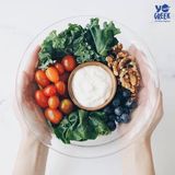 Máy làm sữa chua Hy Lạp và các loại pho mát mềm Lakeland