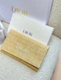 Túi Dior Gift 23x14cm