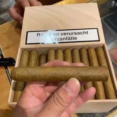 Xì gà 50 điếu Meine Sumatra