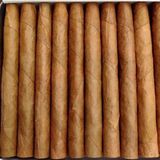 Xì gà mini Cohiba club cây 5 bao