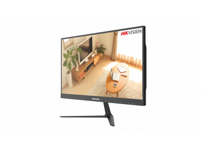 Màn Hình HIKVISION D5022FN10 22