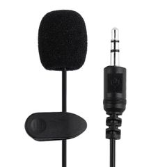 Microphone