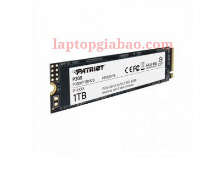 SSD NVME PATRIOT P300 1TB - BH 36 THÁNG