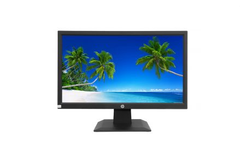 MÀN HÌNH HP P204 19.5