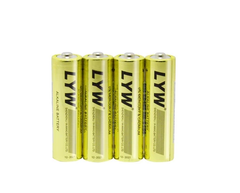 Pin tiểu AA Alkaline 1.5V LYW