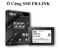 SSD 1TB FB-LINK HM300 - Bh 36 tháng