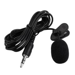 Microphone