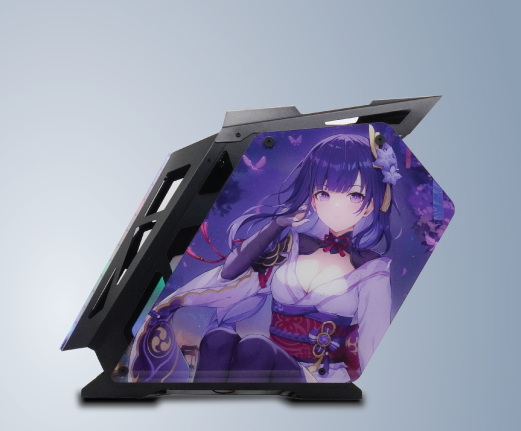 CASE VSP ES1-G.ART BLACK