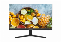 Màn Hình HIKVISION D5022F2-2V1 22