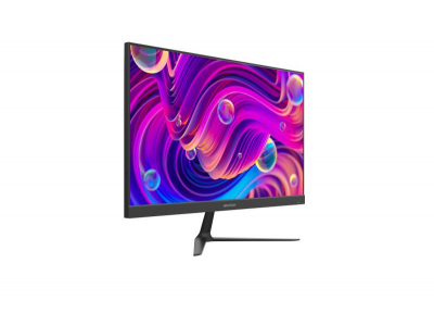 Màn Hình HIKVISION D5024F2-BP2 24