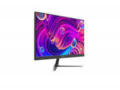 Màn Hình HIKVISION D5024F2-BP2 24