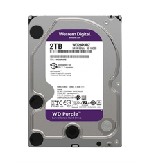 HDD WESTERN DIGITAL 2TB PURPLE - BH12THÁNG