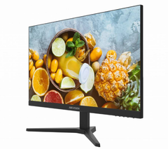 Màn Hình HIKVISION D5024F2-2P2 24