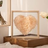  Khung Ảnh Sâu Lòng 2 MẶT TRONG SUỐT Trưng Bày Hoa Khô Hay Các Sản Phẩm Thủ Công nhiều kích thước PK1853 