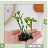  [GIAO HÀNG 7-25 NGÀY]  Classy Kẹp tóc tinh nghịch hình mầm đậu xanh đơn giản tinh nghịch dùng để tặng bạn bè, làm đồ chơi hot tiktok PK1680 