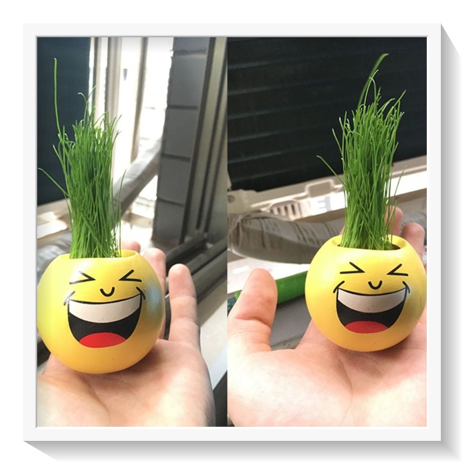  [GIAO HÀNG 7-25 NGÀY] Chậu cây cảnh bằng nhựa mini hình mặt cười đáng yêu, Emojji đẹp, chậu cây hình em bé baby xinh, tặng kèm đất và hạt giống cỏ tóc PK655 