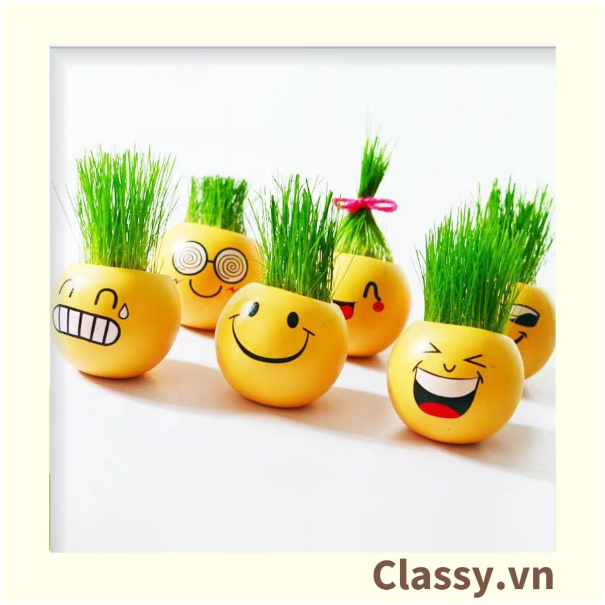  Chậu cây cảnh bằng nhựa mini hình mặt cười đáng yêu, Emojji đẹp, chậu cây hình em bé baby xinh, tặng kèm đất và hạt giống cỏ tóc PK655 