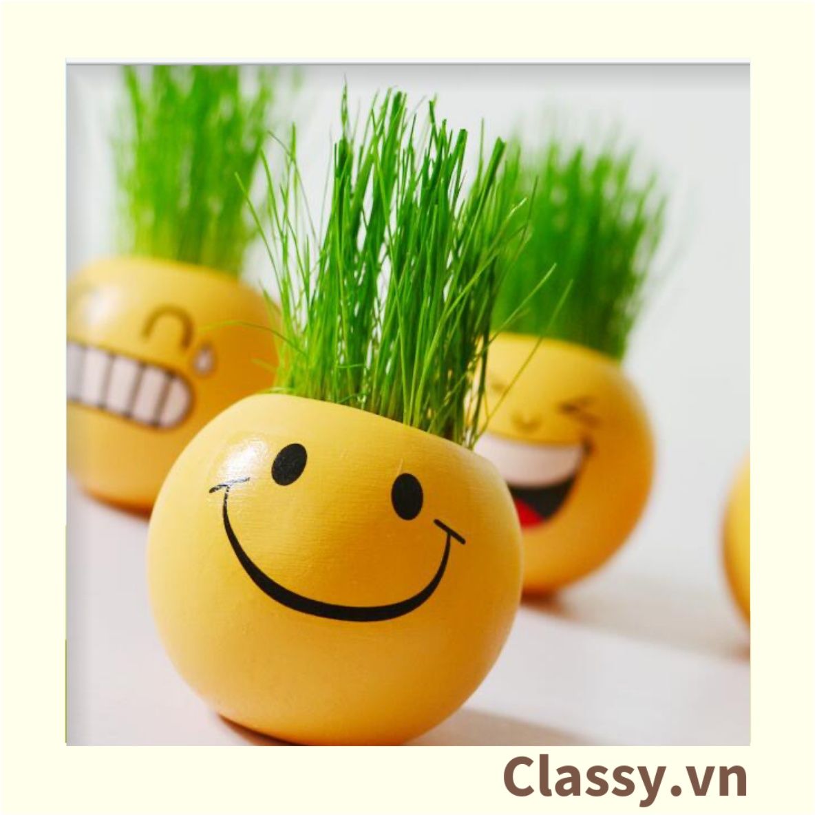  [GIAO HÀNG 7-25 NGÀY] Chậu cây cảnh bằng nhựa mini hình mặt cười đáng yêu, Emojji đẹp, chậu cây hình em bé baby xinh, tặng kèm đất và hạt giống cỏ tóc PK655 