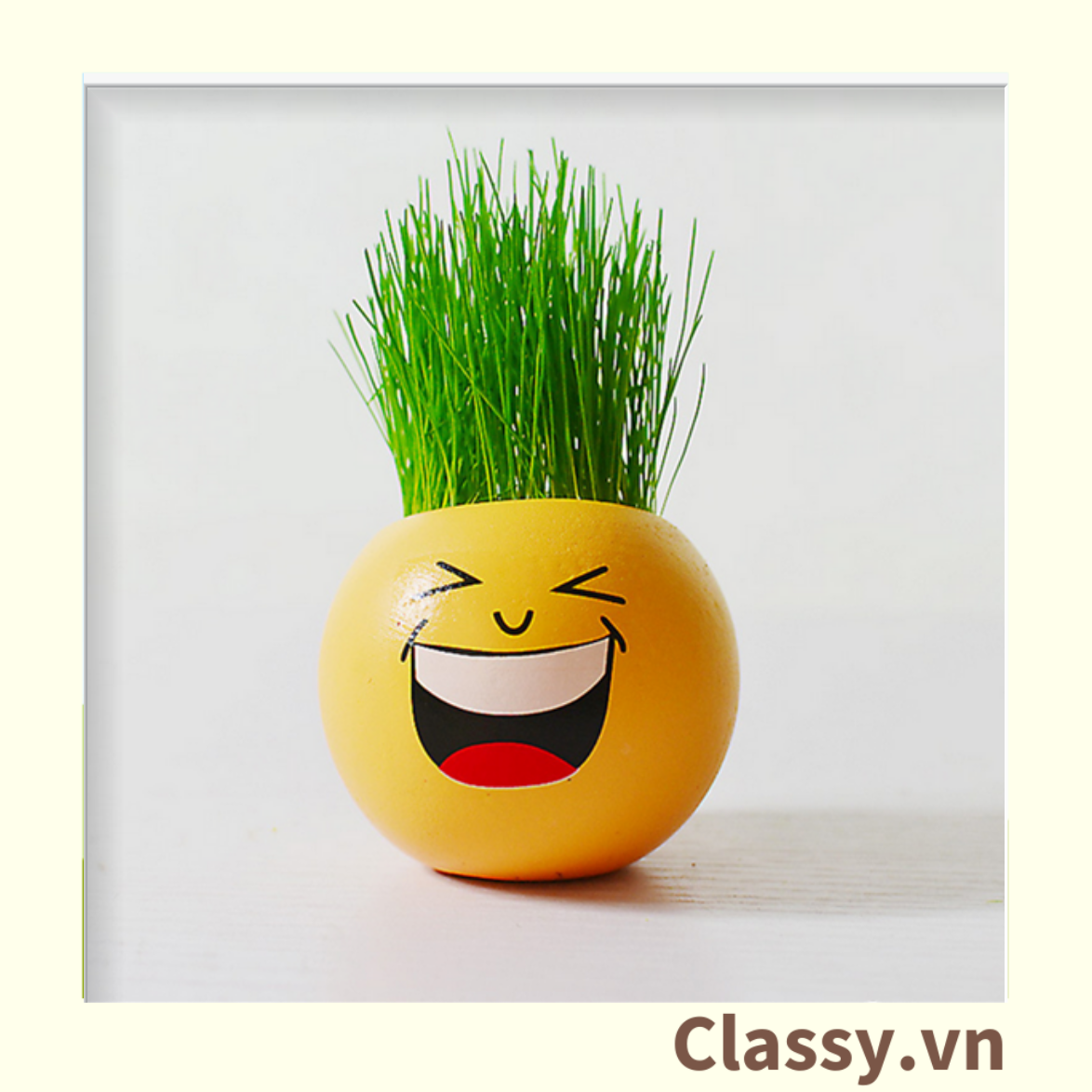  [GIAO HÀNG 7-25 NGÀY] Chậu cây cảnh bằng nhựa mini hình mặt cười đáng yêu, Emojji đẹp, chậu cây hình em bé baby xinh, tặng kèm đất và hạt giống cỏ tóc PK655 