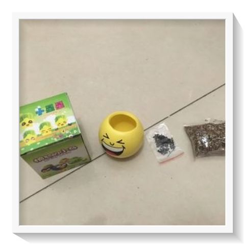  [GIAO HÀNG 7-25 NGÀY] COMBO 100 Chậu cây cảnh bằng nhựa mini hình mặt cười đáng yêu, Emojji đẹp, chậu cây hình em bé baby xinh, tặng kèm đất và hạt giống cỏ tóc PK655 