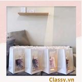  Túi giấy hồng trong suốt kích thước 25x15x35CM dùng làm quà tặng Q1404 