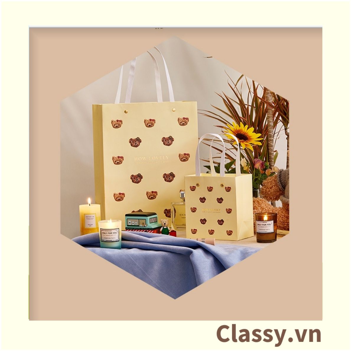  Classy Hộp quà tặng, Túi quà tặng dễ thương, quà sinh nhật, kỷ niệm Q1550 