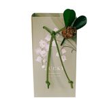 Hộp quà tặng tự gấp đính kèm Hoa, đựng kẹo cưới, quà cảm ơn phong cách châu âu, nhiều màu sắc cho bạn lựa chọn Q1892 