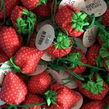  [GIAO HÀNG 7-25 NGÀY]  COMBO 20 chiếc Túi dù gấp gọn hình quả dâu xinh xắn, đi chợ, đi du lịch - Sản phẩm thân thiện với môi trường [T290] 