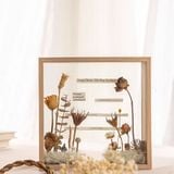  Khung Ảnh Sâu Lòng 2 MẶT TRONG SUỐT Trưng Bày Hoa Khô Hay Các Sản Phẩm Thủ Công nhiều kích thước PK1853 