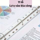  [GIAO HÀNG 7-25 NGÀY] Combo 100 bìa lá đục lỗ kích thước A4 trong suốt, bảo vệ giấy và lắp vào bìa còng cho giới văn phòng PK1874 