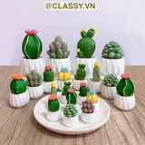  Chậu cây xương rồng mini bằng nhựa, trang trí bàn làm việc, bàn học, decor phòng PK1489 