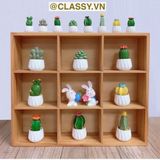  Chậu cây xương rồng mini bằng nhựa, trang trí bàn làm việc, bàn học, decor phòng PK1489 