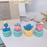  Chậu cây xương rồng mini bằng nhựa, trang trí bàn làm việc, bàn học, decor phòng PK1489 