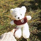  Gấu bông Teddy mặc áo siêu êm siêu mịn B1375 